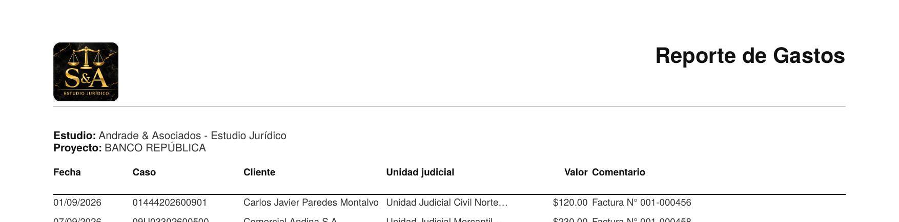 PDF del reporte de gastos